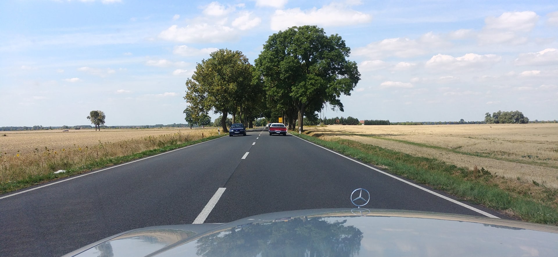 Schönste Strecken zum Autofahren in Brandenburg